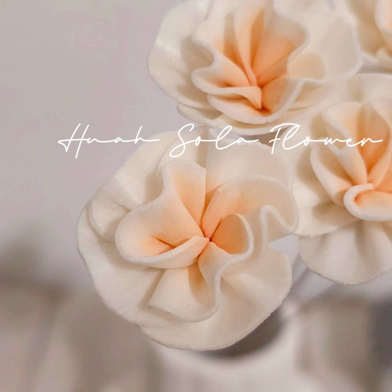 LINE_ALBUM_官網4_251008_30