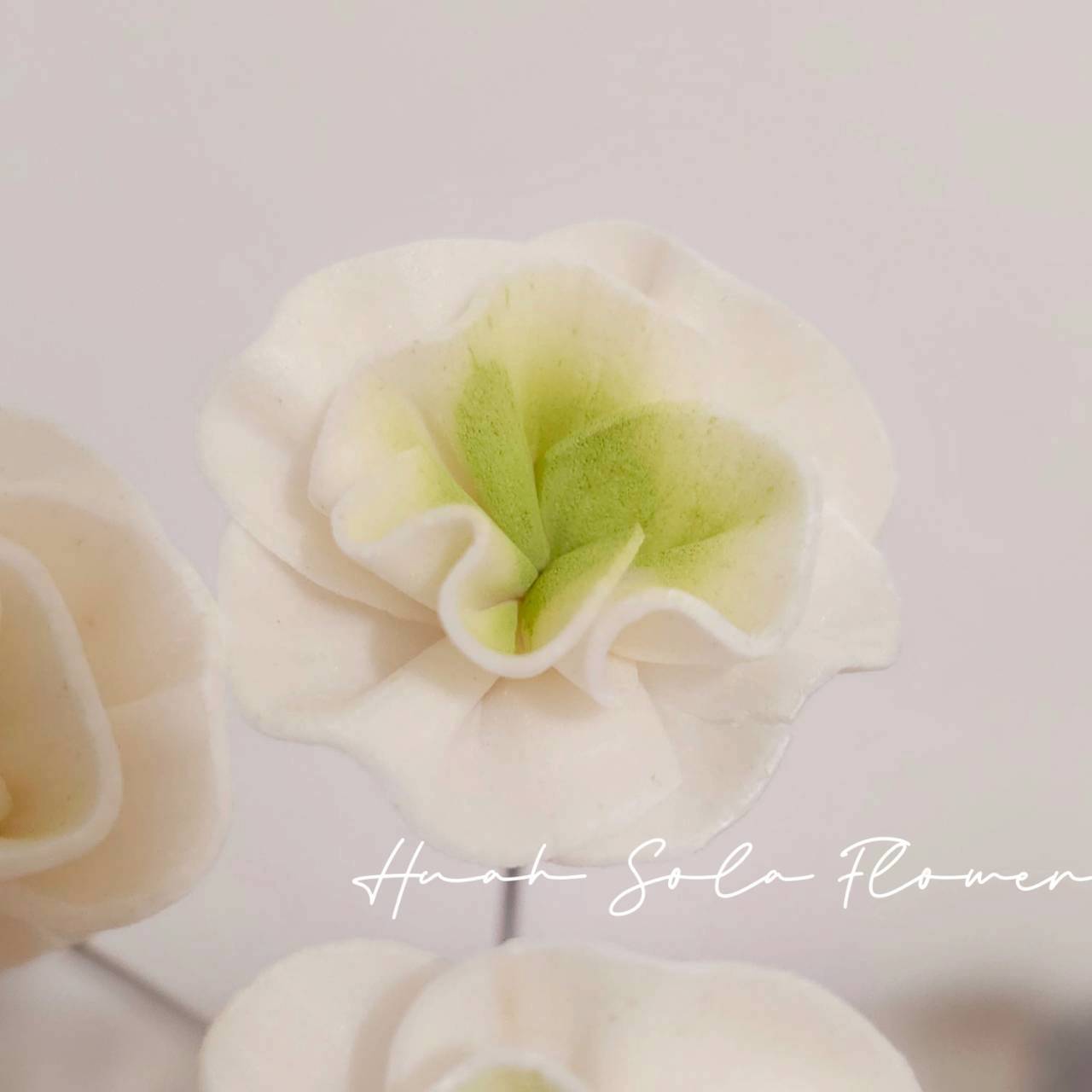 LINE_ALBUM_官網4_251008_32