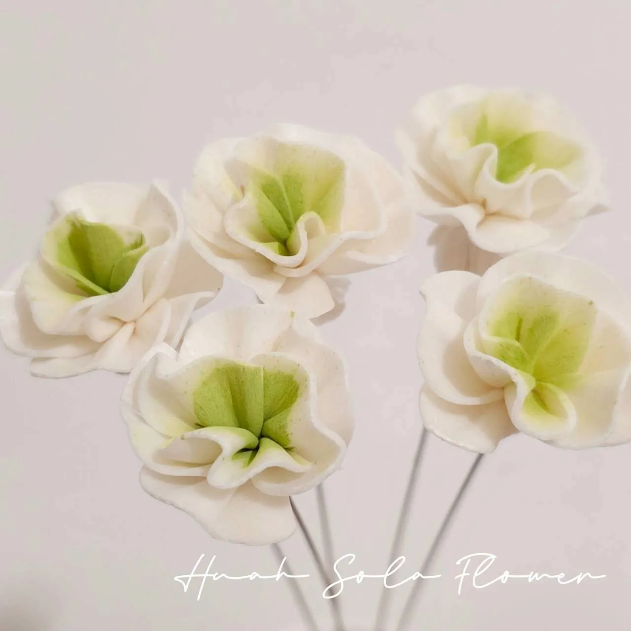 LINE_ALBUM_官網4_251008_33