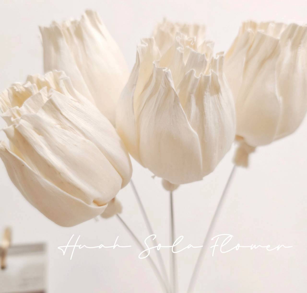 LINE_ALBUM_官網4_251008_23