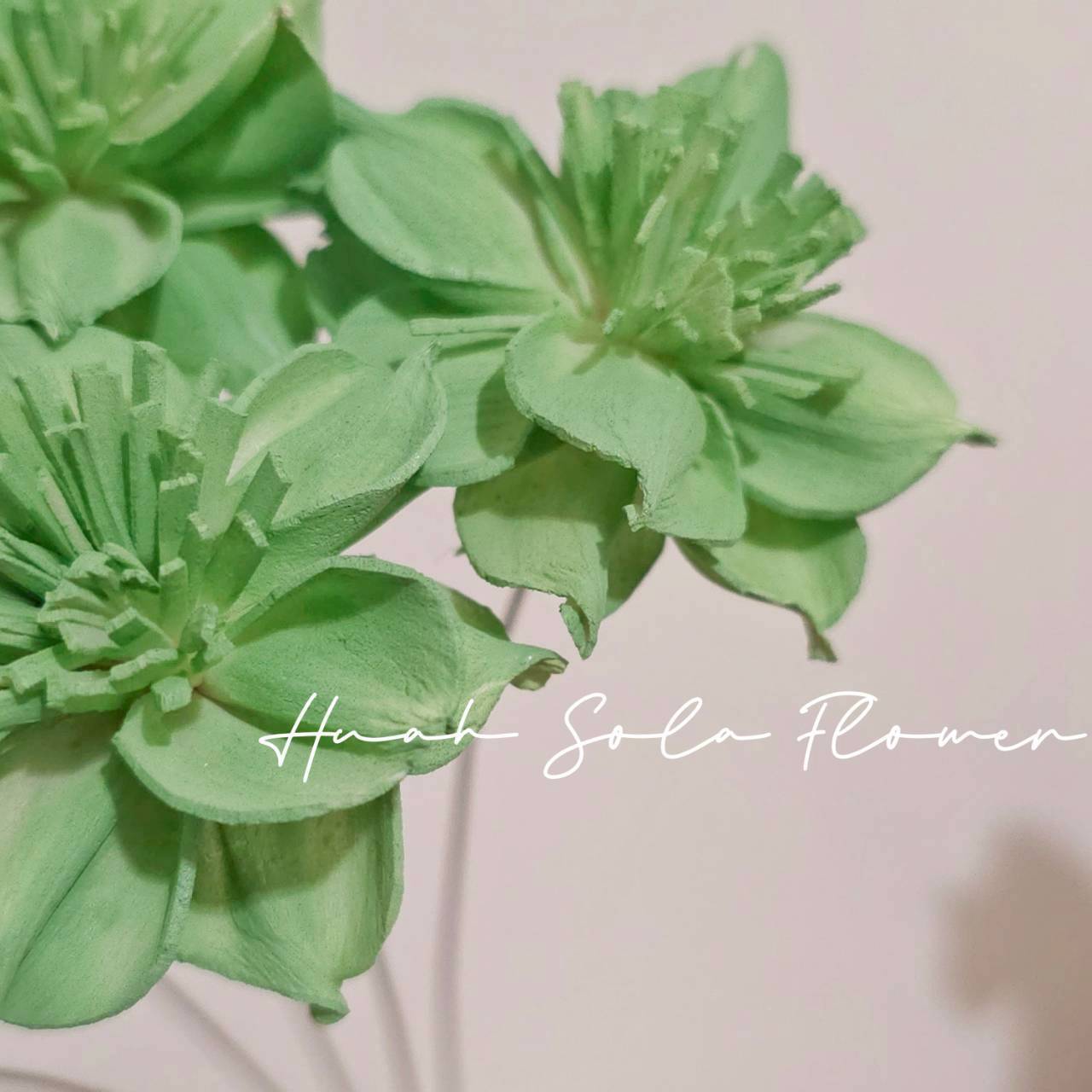 LINE_ALBUM_官網4_251008_99