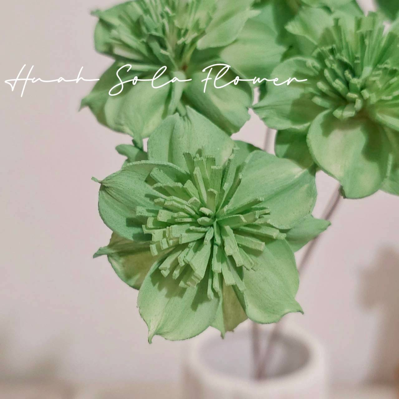 LINE_ALBUM_官網4_251008_100