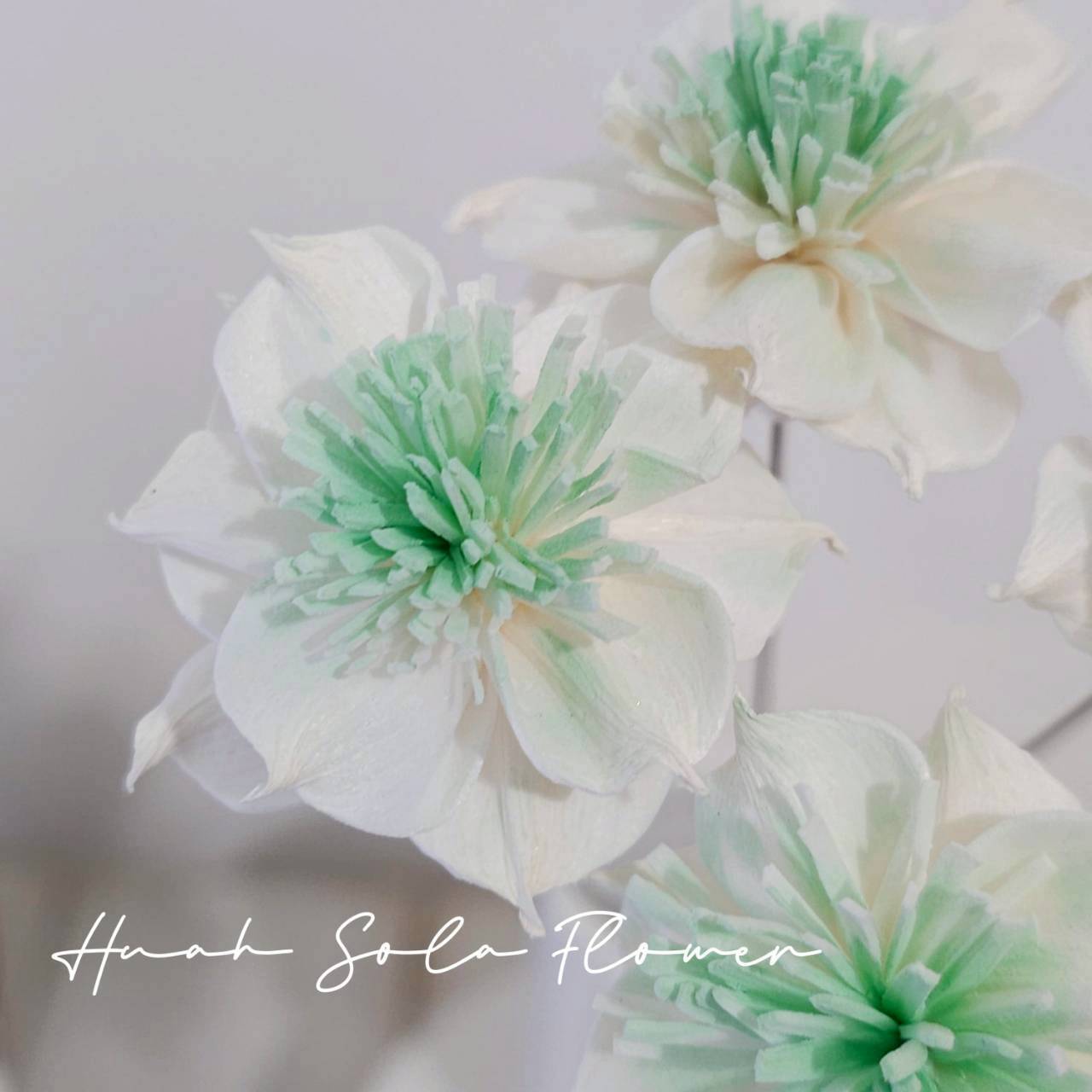 LINE_ALBUM_官網5_251018_1