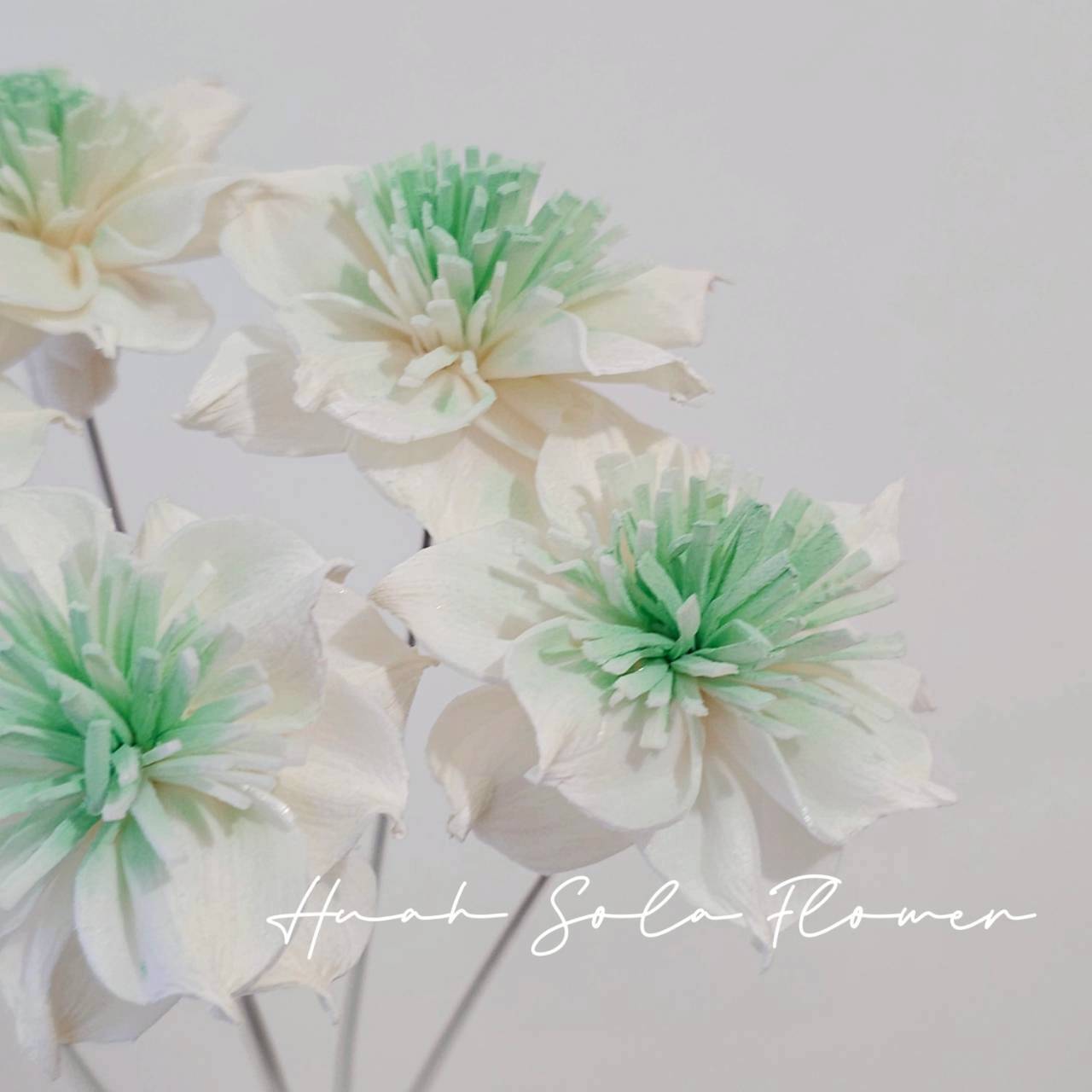 LINE_ALBUM_官網5_251018_5