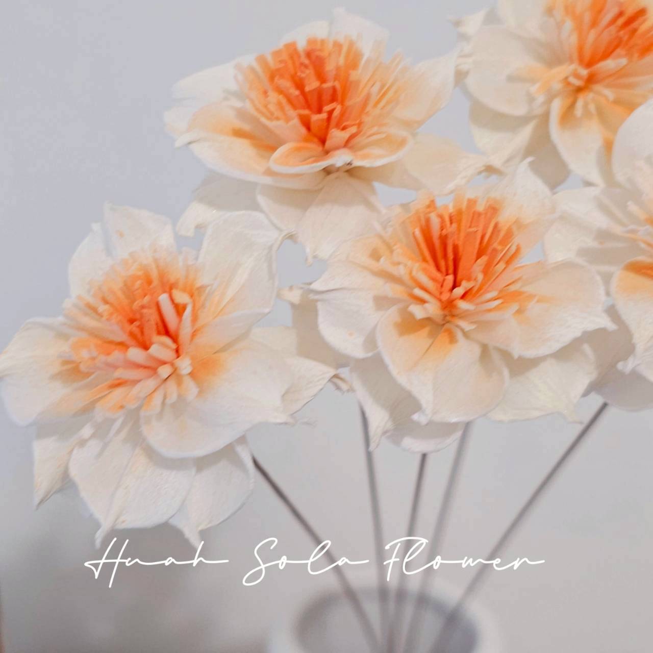 LINE_ALBUM_官網5_251018_3