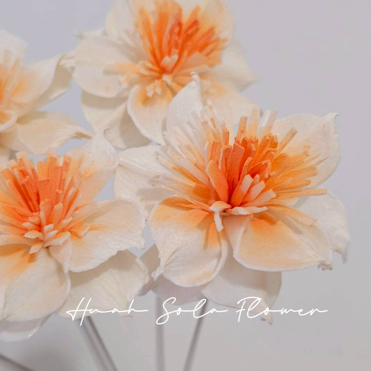 LINE_ALBUM_官網5_251018_8