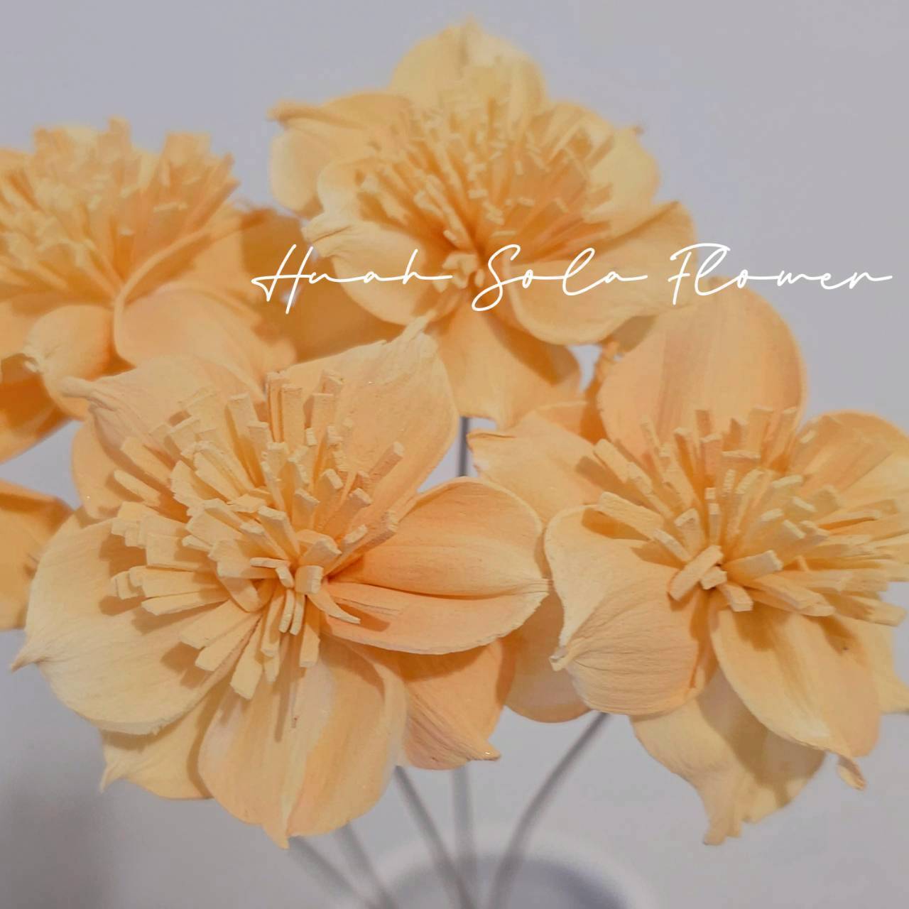 LINE_ALBUM_官網5_251018_6