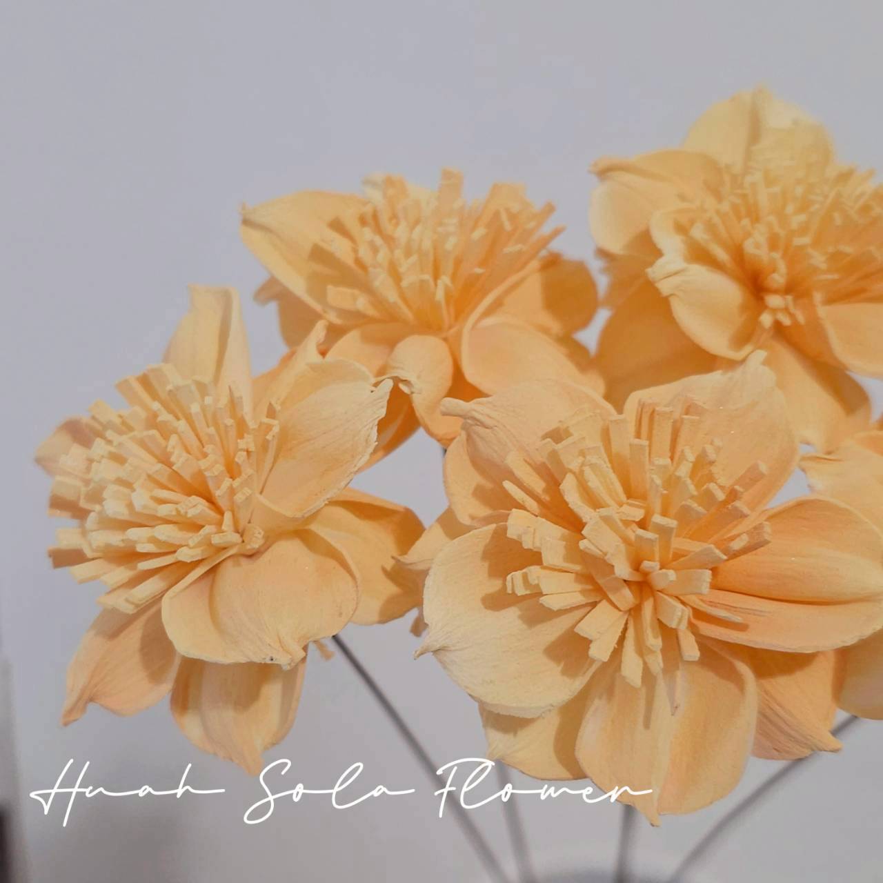 LINE_ALBUM_官網5_251018_10