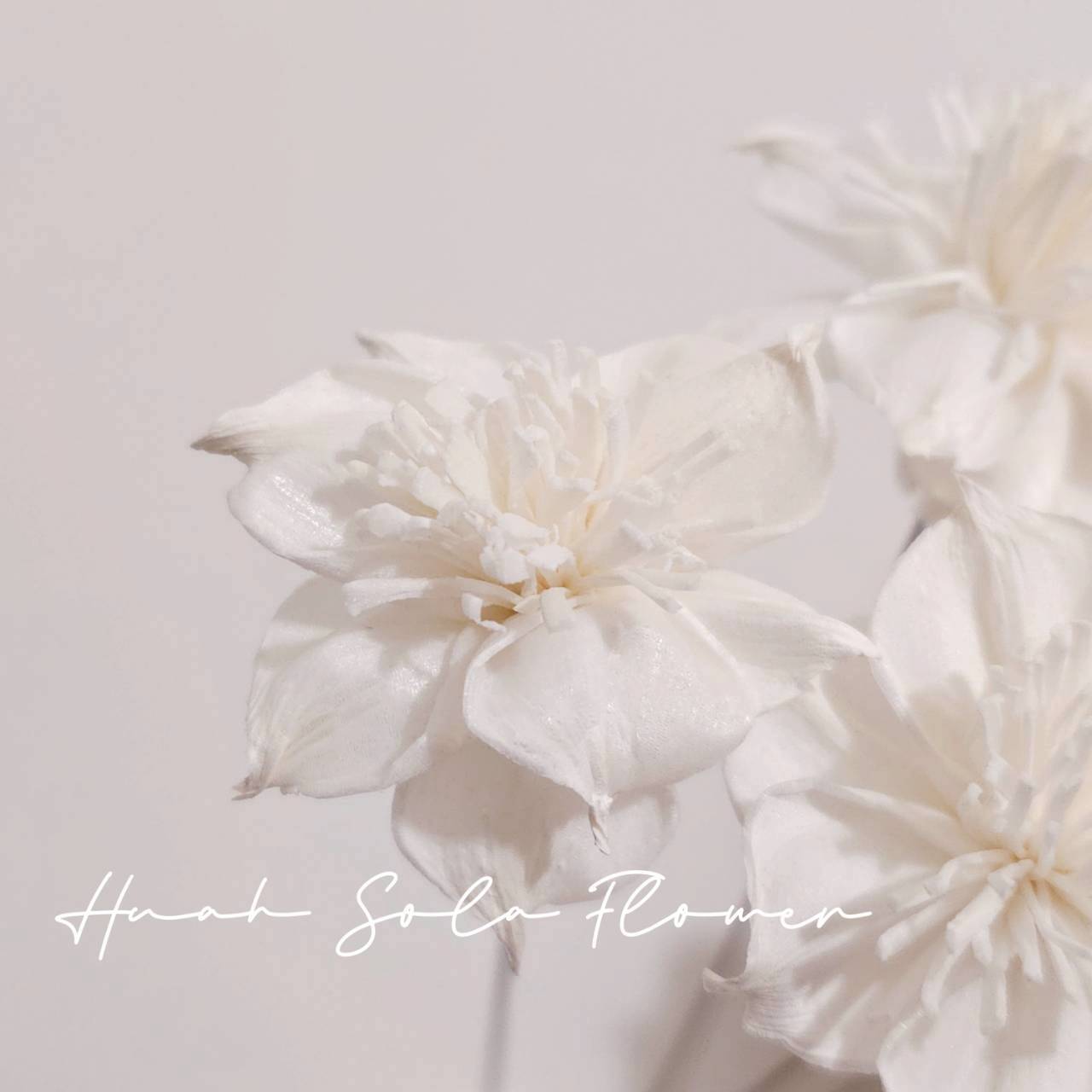 LINE_ALBUM_官網5_251018_132