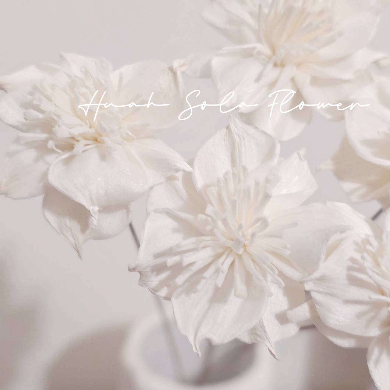 LINE_ALBUM_官網5_251018_135