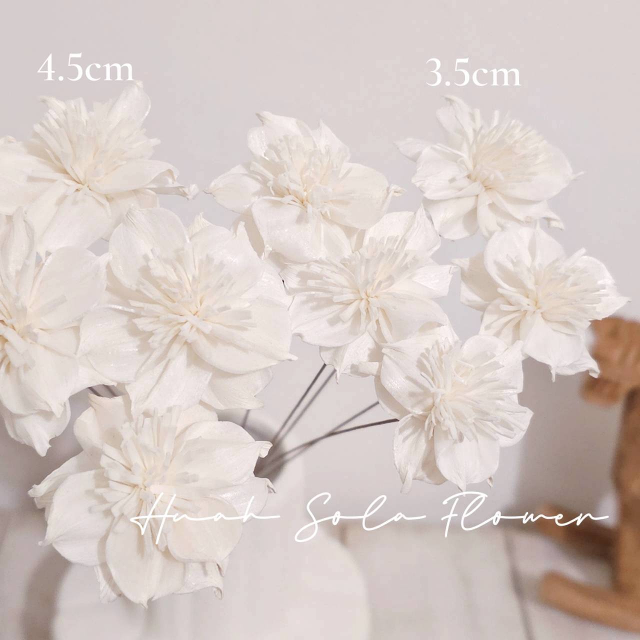 LINE_ALBUM_官網5_251018_137