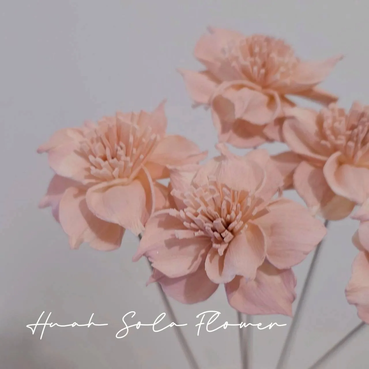 LINE_ALBUM_官網5_251018_9