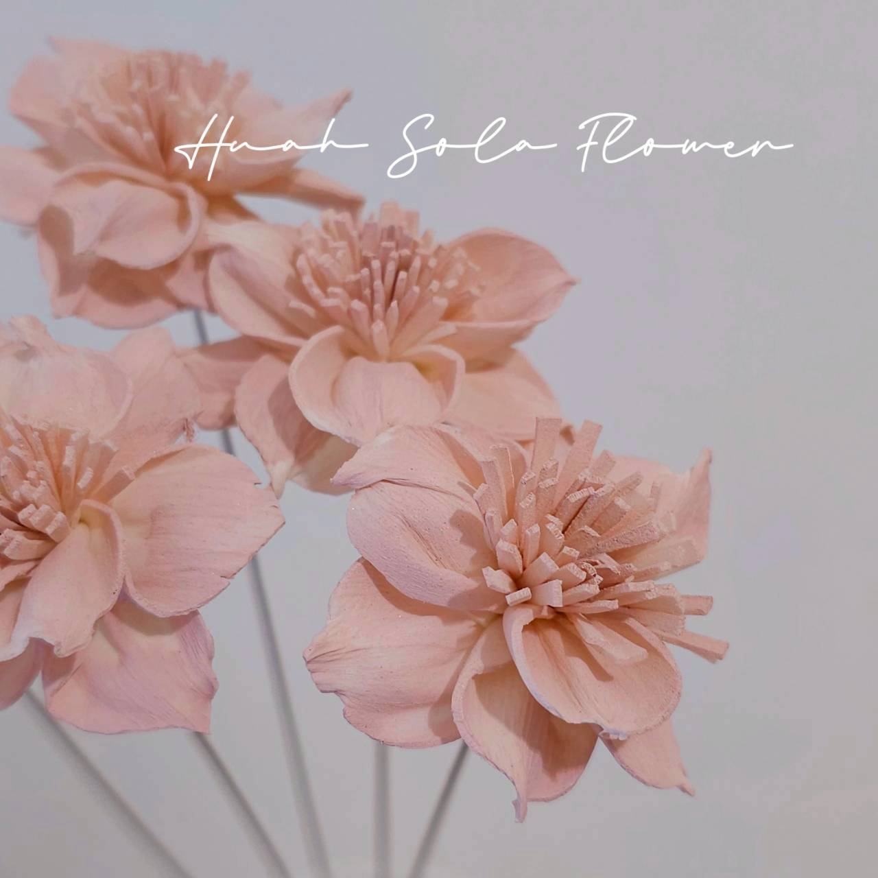 LINE_ALBUM_官網5_251018_11