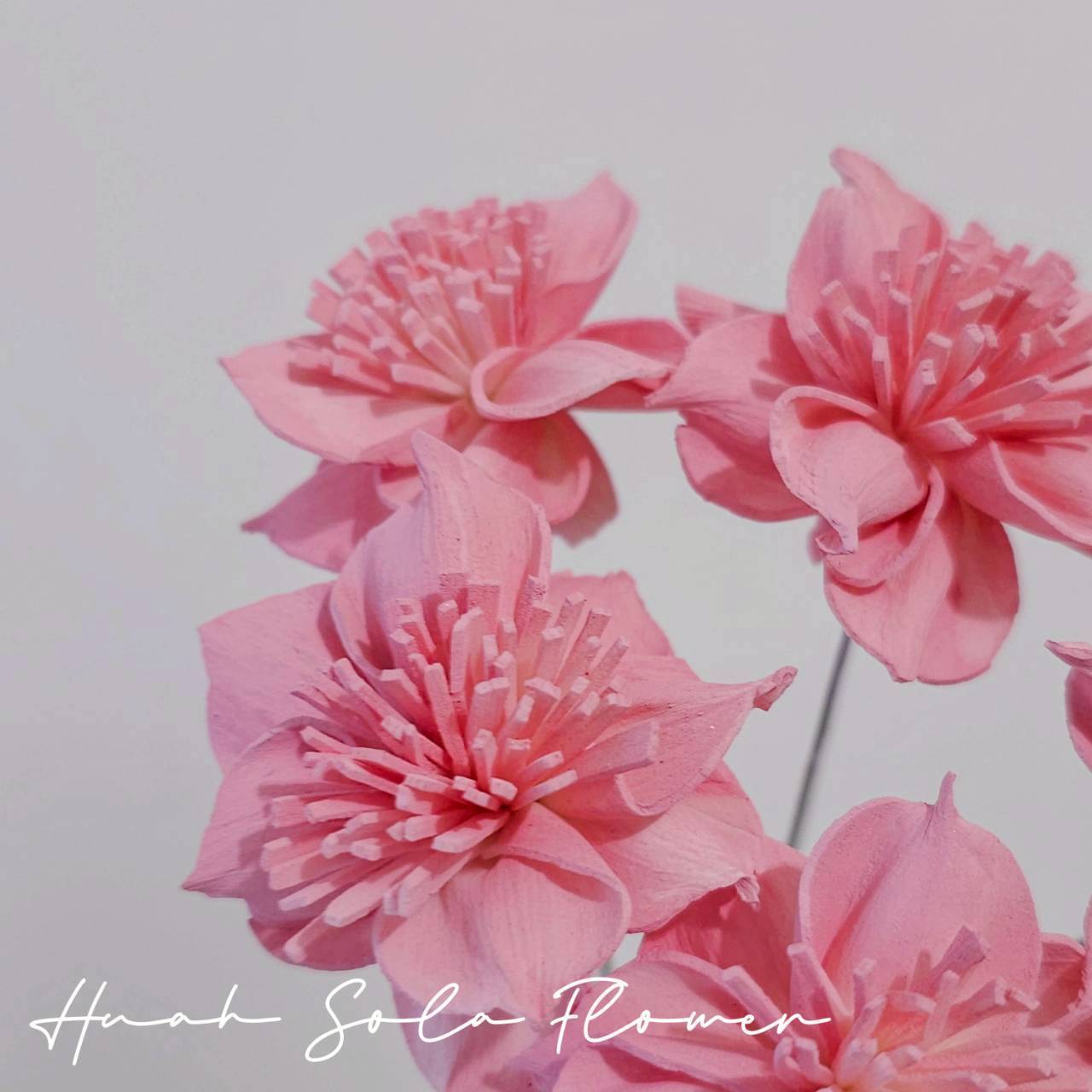 LINE_ALBUM_官網5_251018_16