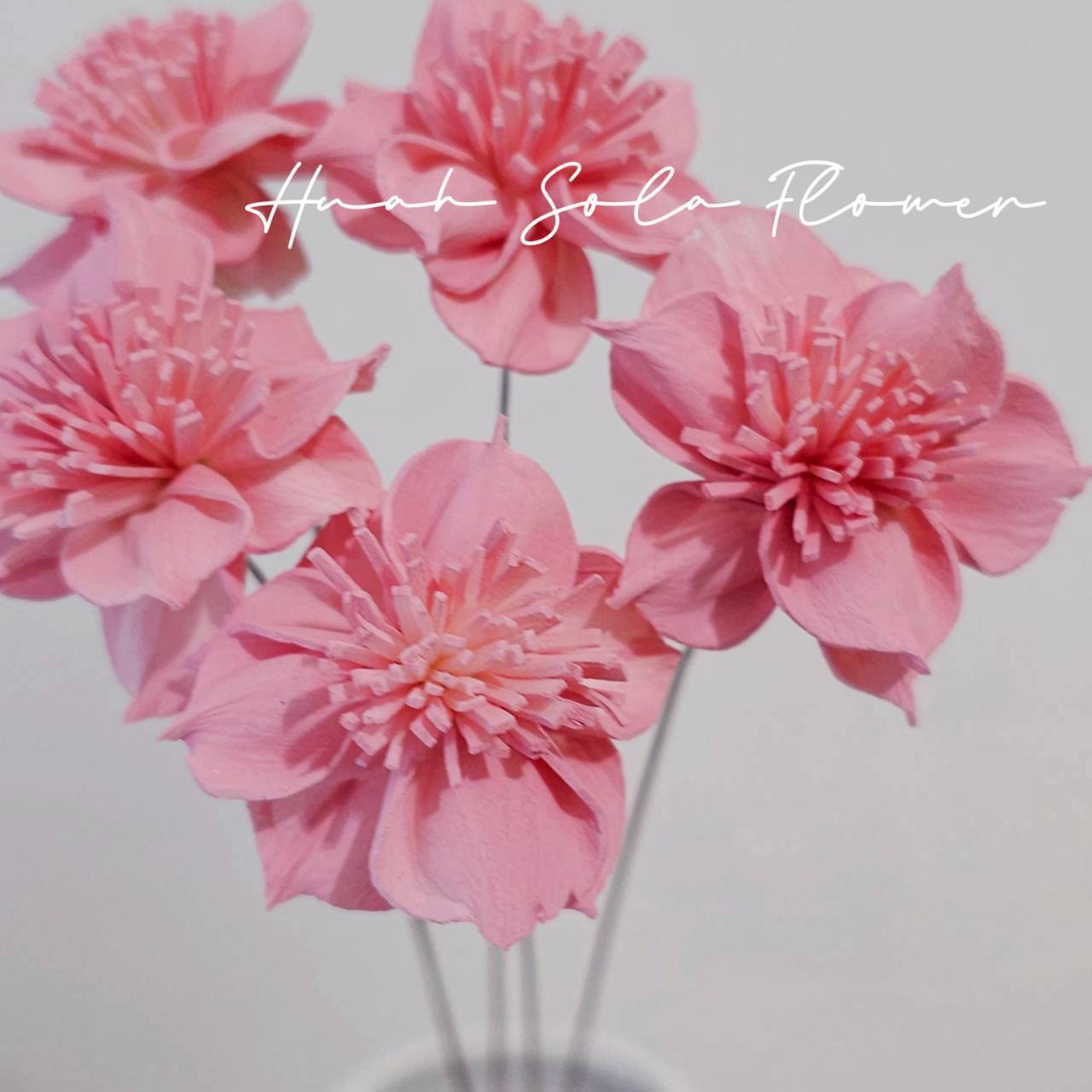 LINE_ALBUM_官網5_251018_12