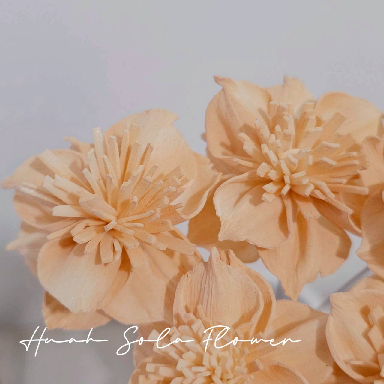 LINE_ALBUM_官網5_251018_14