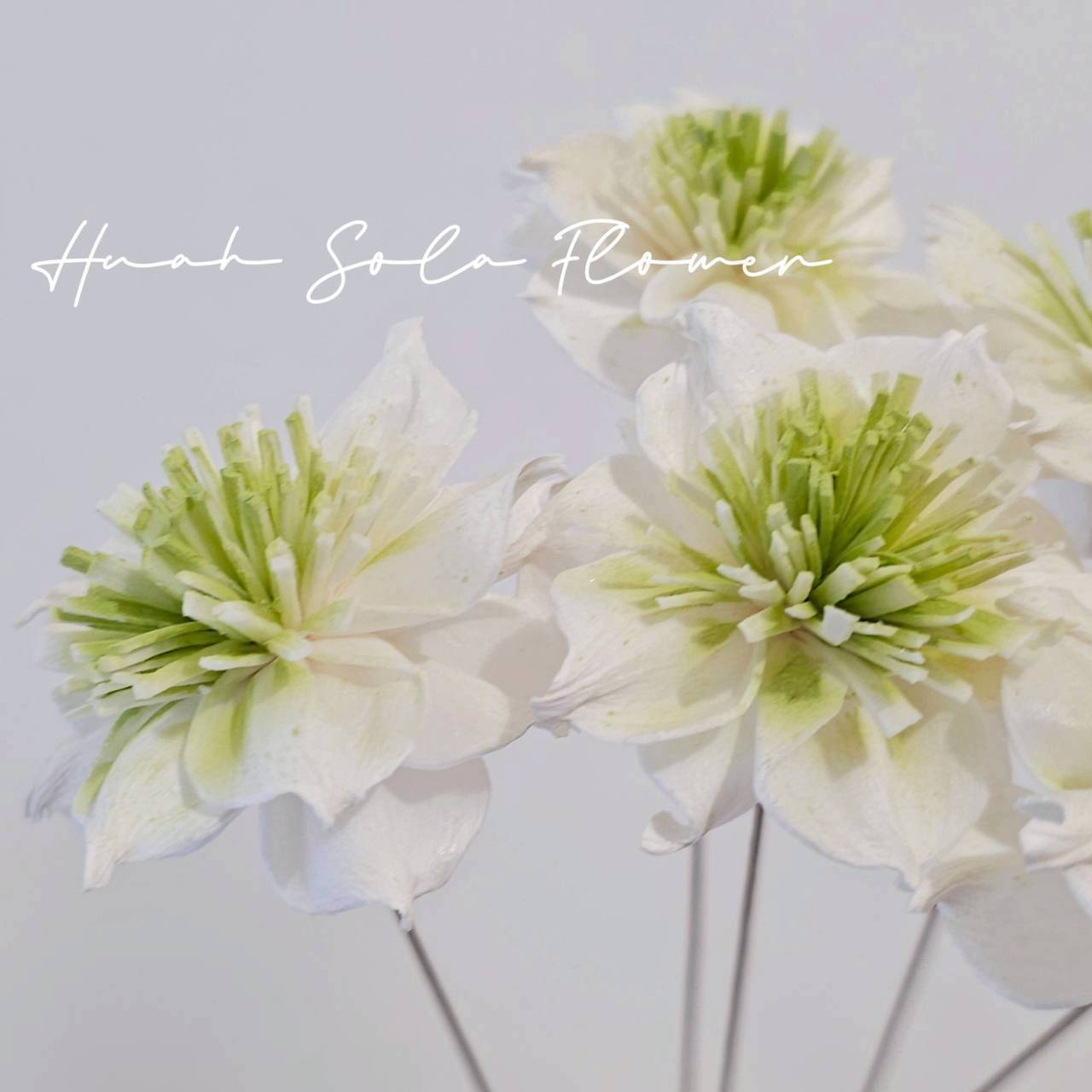 LINE_ALBUM_官網5_251018_22