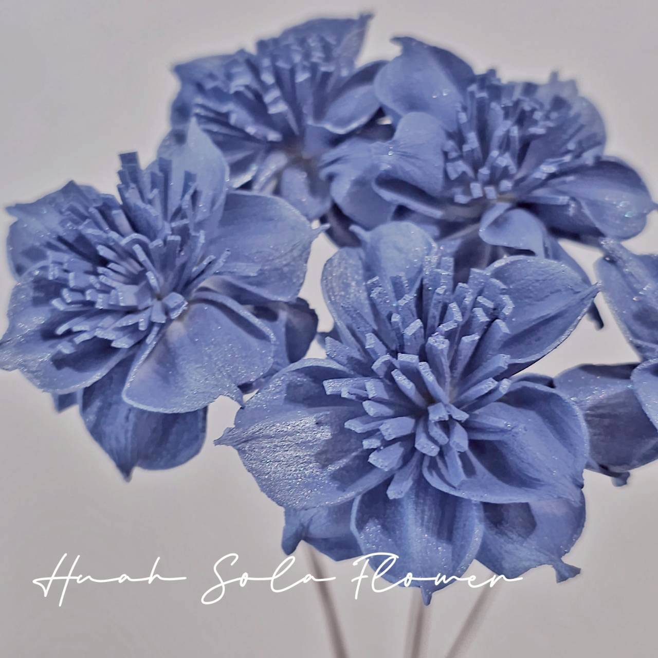 LINE_ALBUM_官網5_251018_23