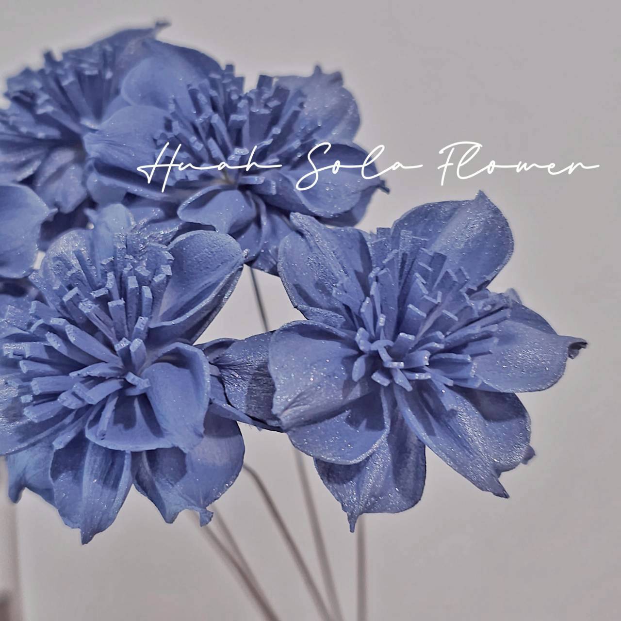 LINE_ALBUM_官網5_251018_24