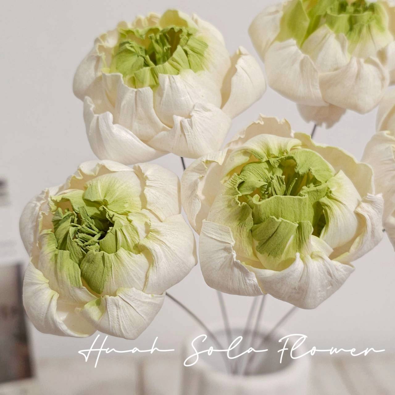 LINE_ALBUM_官網5_251018_68