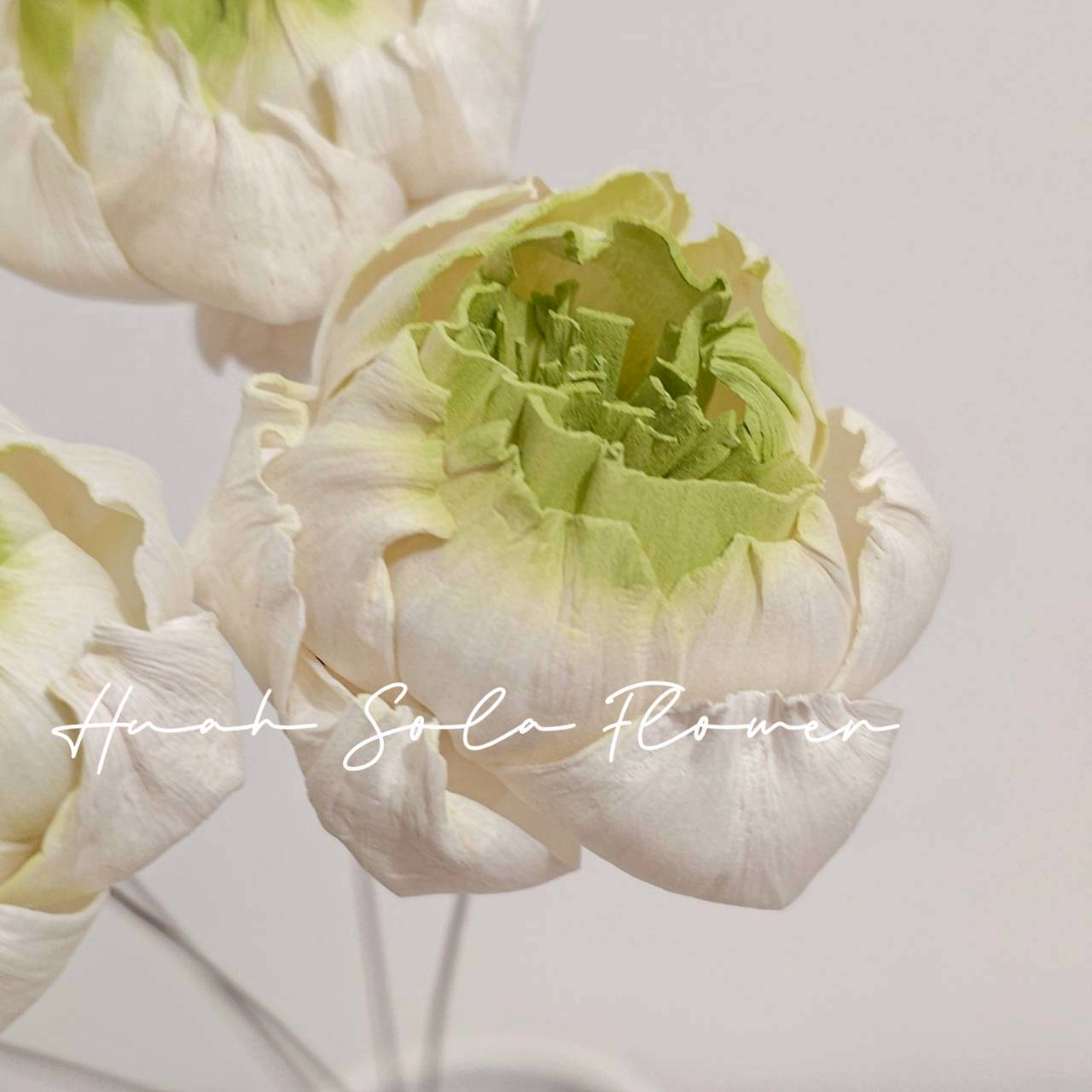 LINE_ALBUM_官網5_251018_73