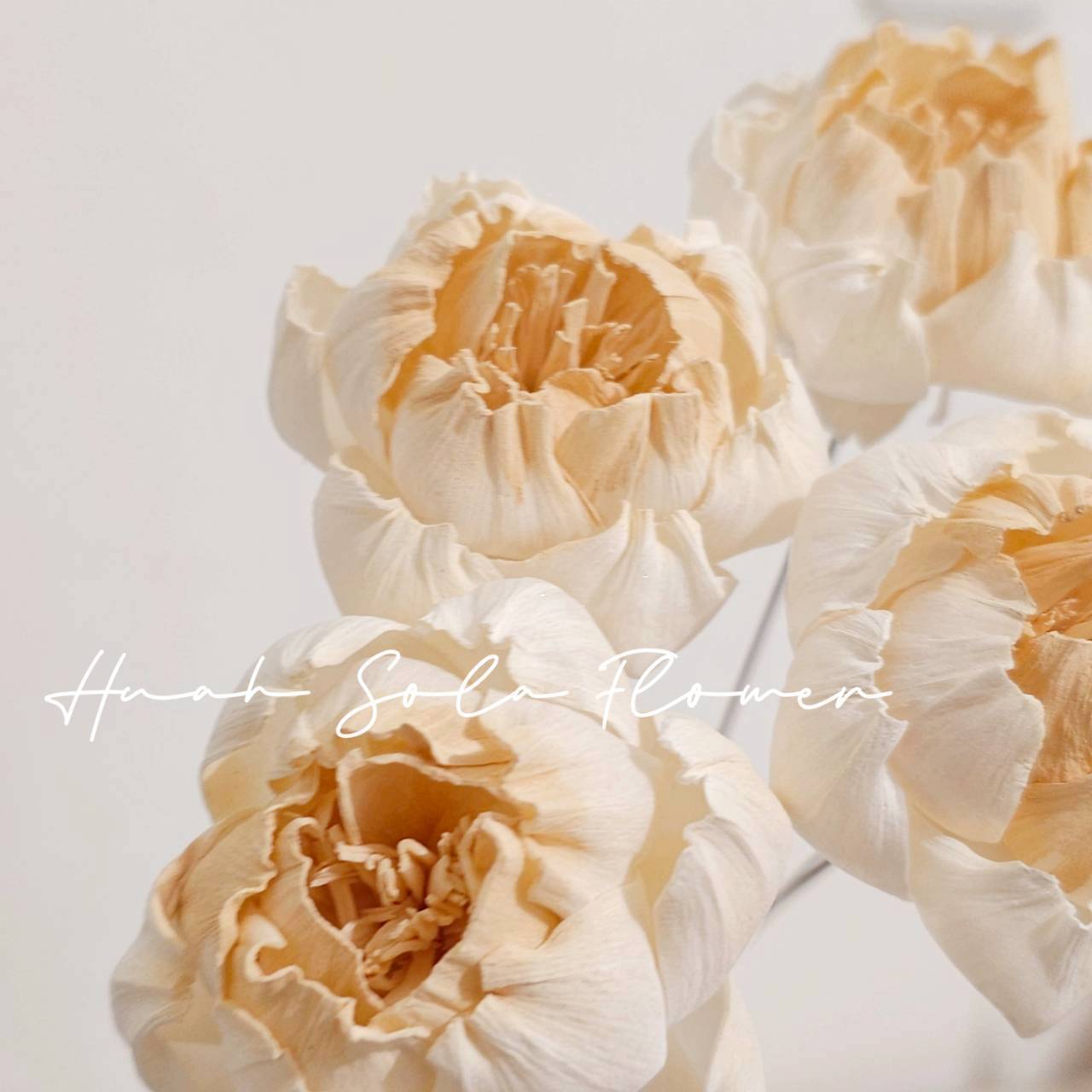 LINE_ALBUM_官網5_251018_75