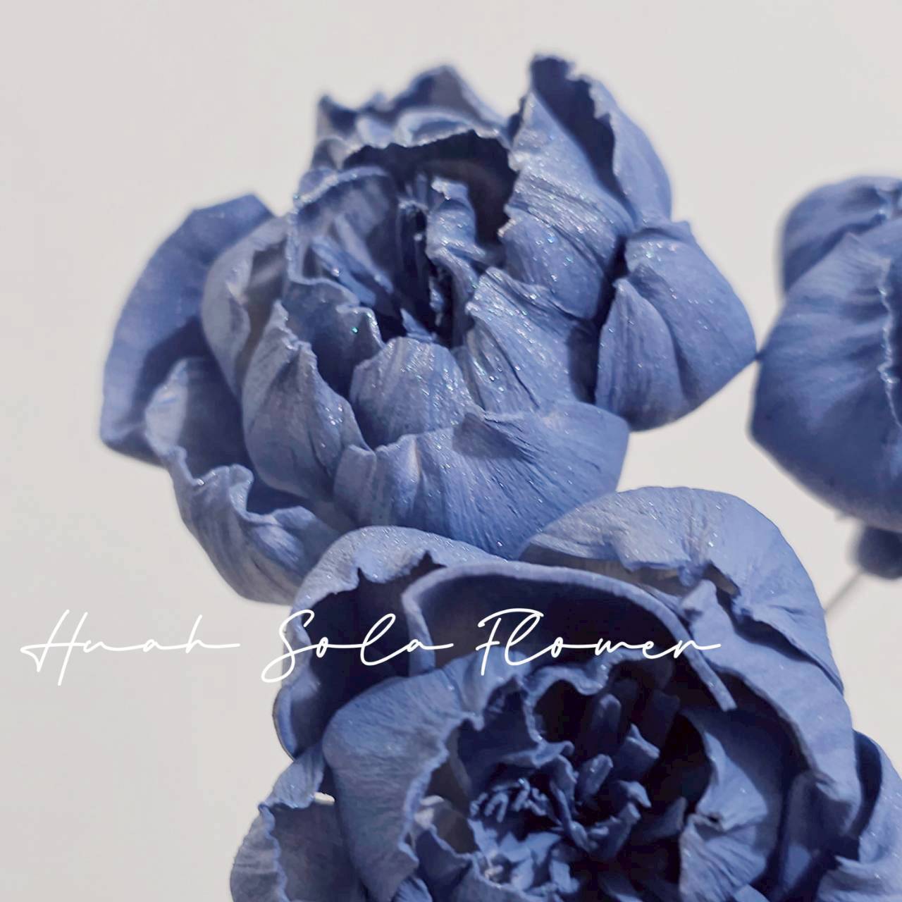 LINE_ALBUM_官網5_251018_76