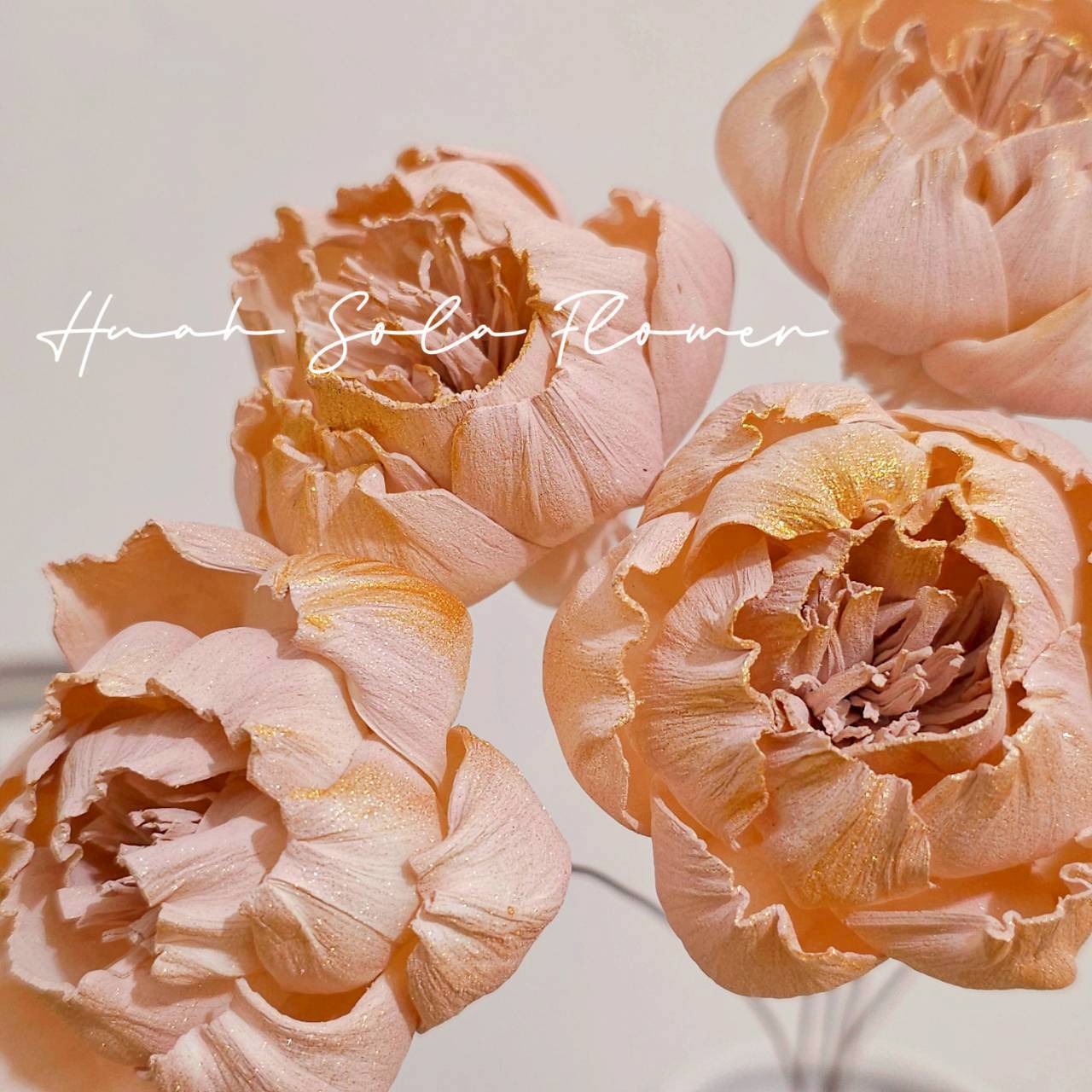 LINE_ALBUM_官網5_251018_80