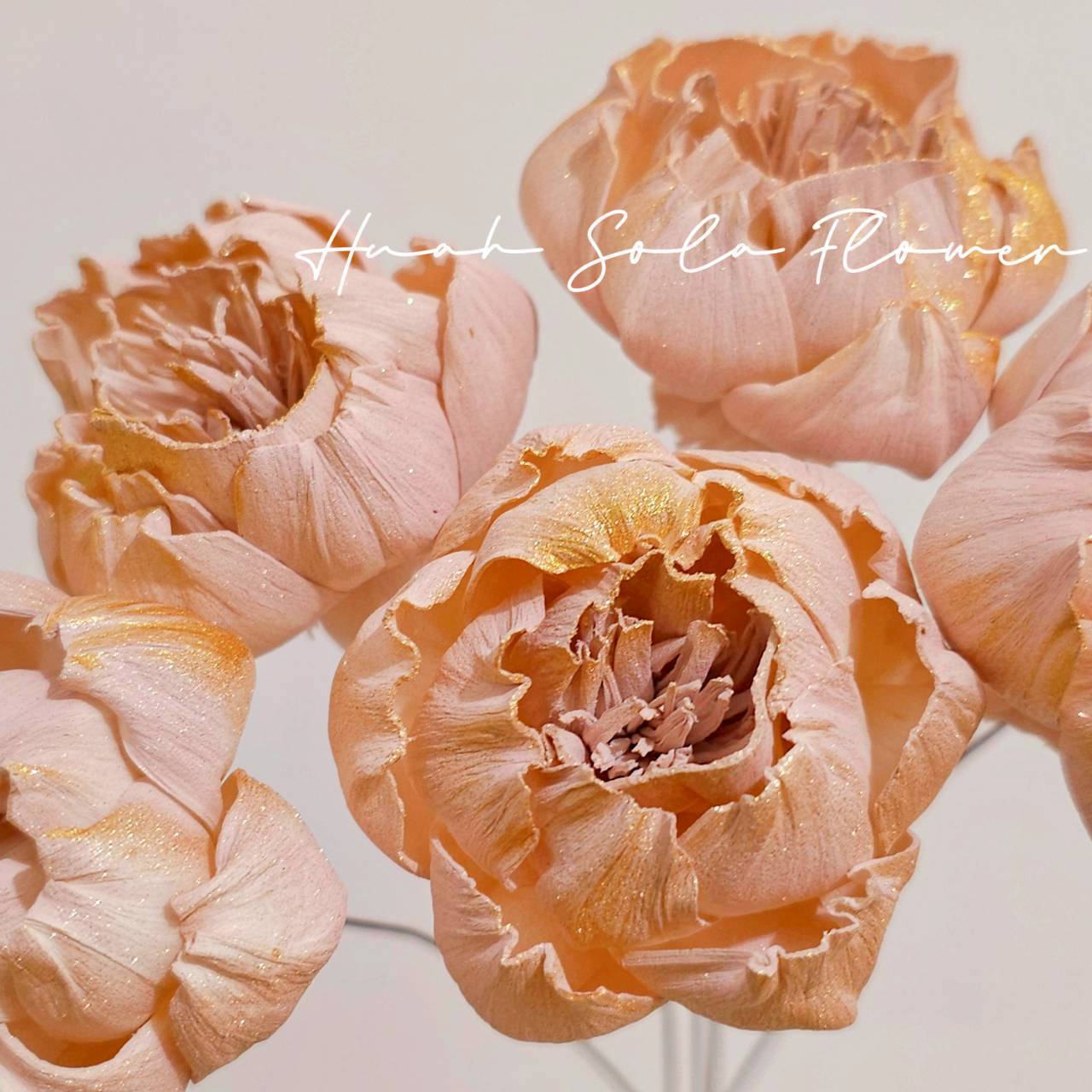 LINE_ALBUM_官網5_251018_81