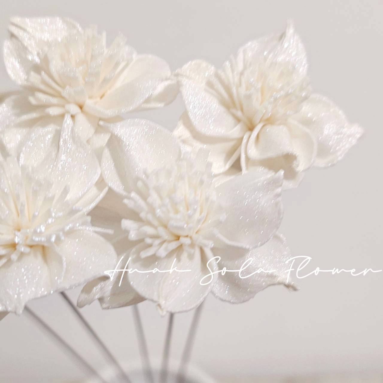 LINE_ALBUM_官網5_251018_85