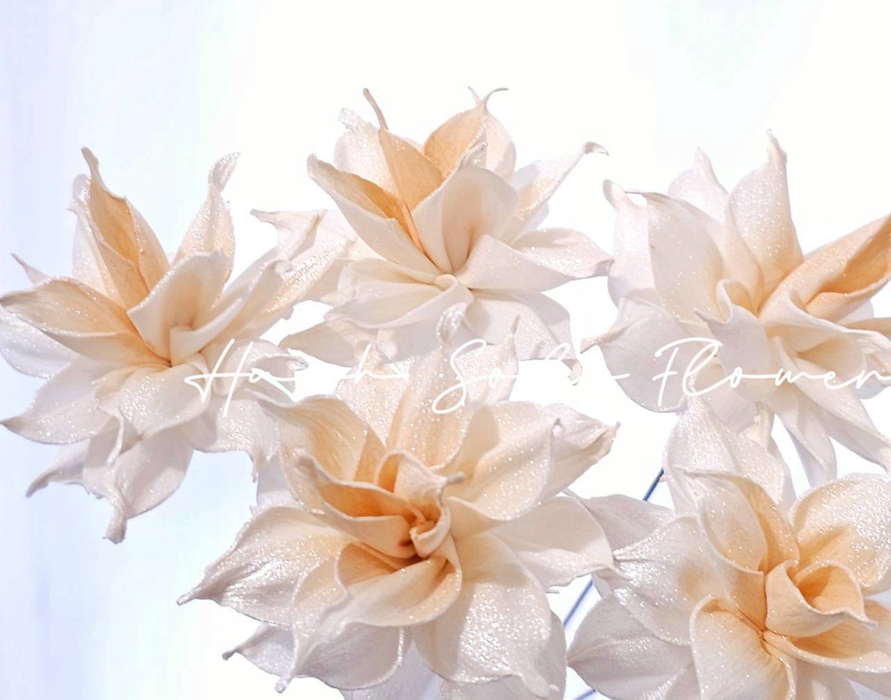 LINE_ALBUM_官網5_251018_125