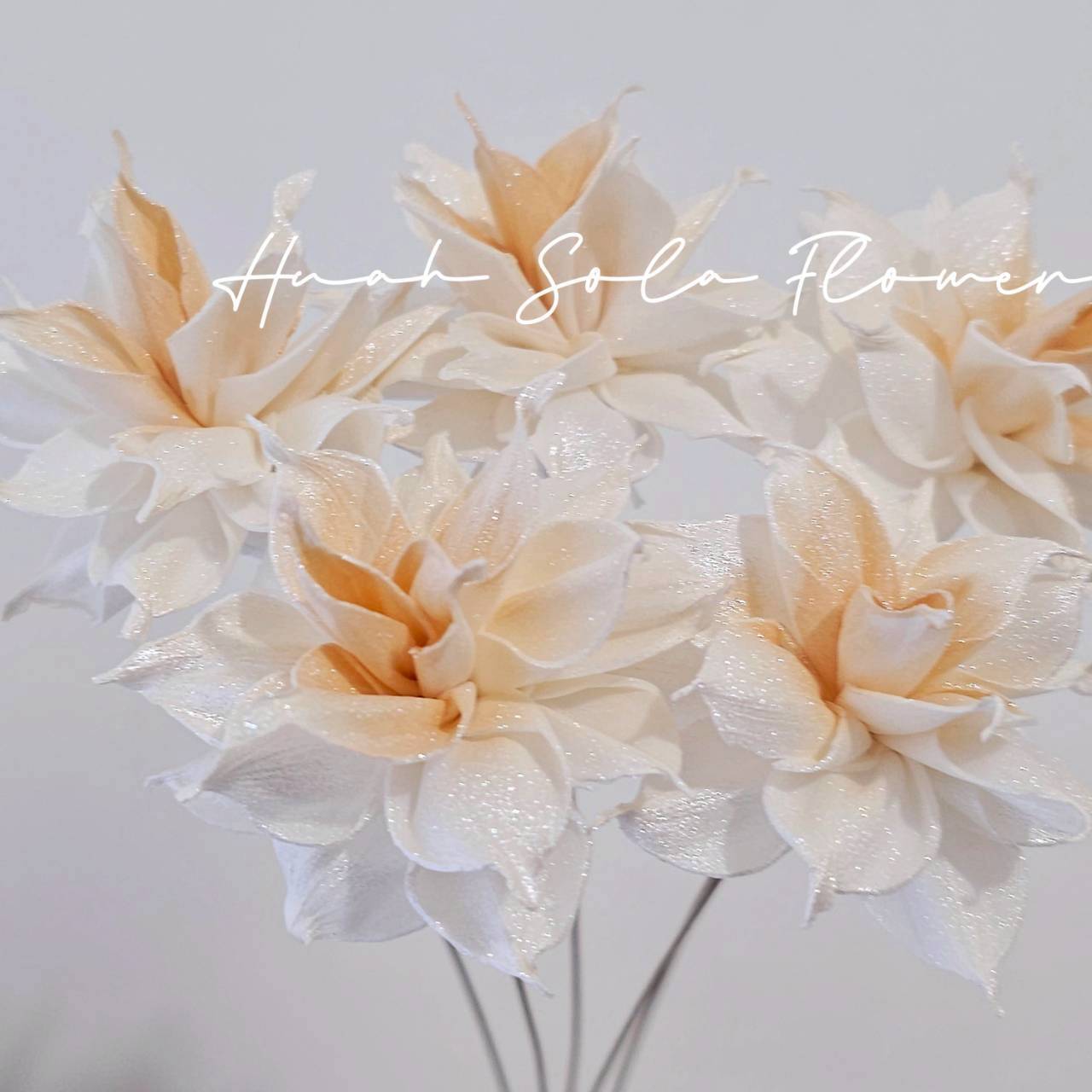 LINE_ALBUM_官網5_251018_130