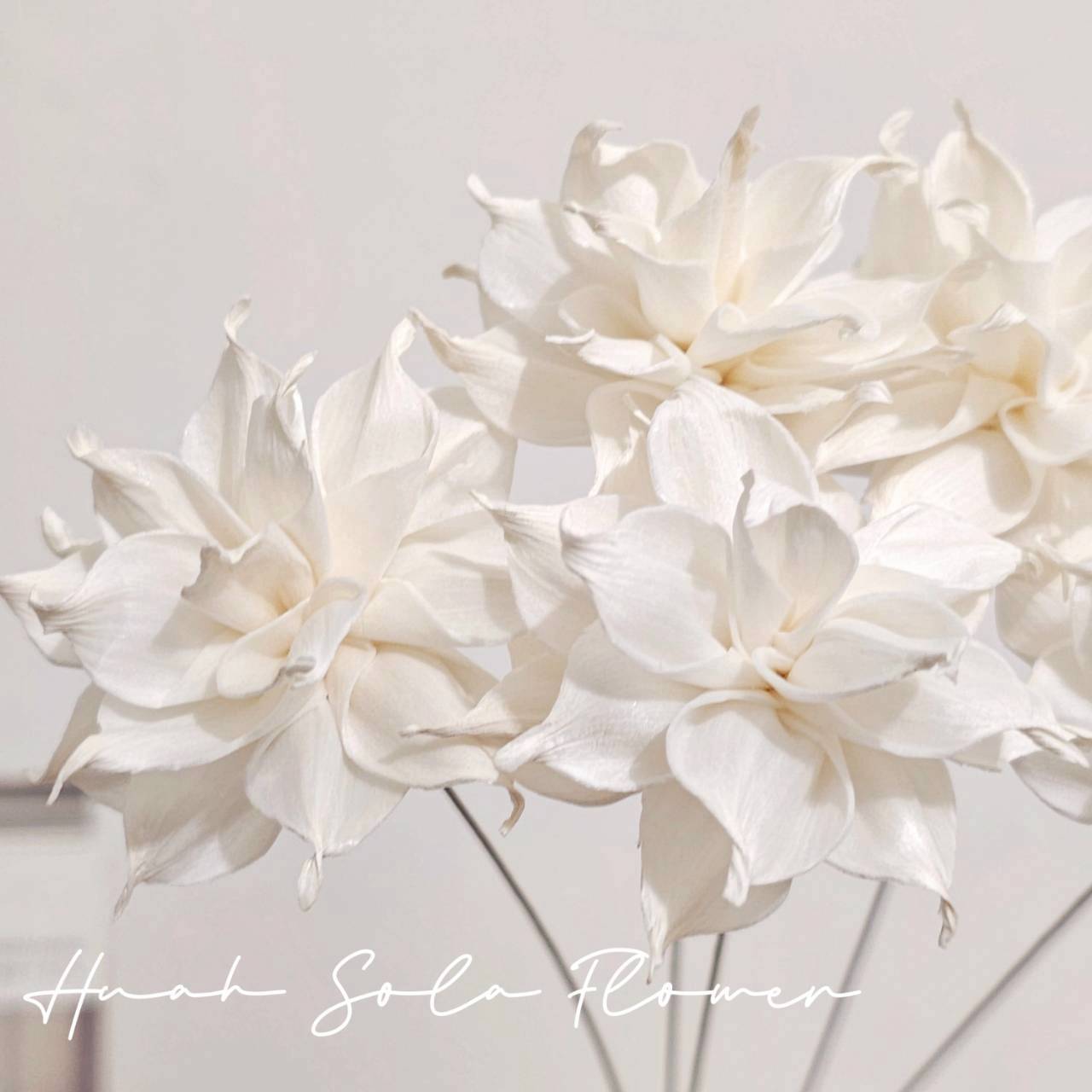 LINE_ALBUM_官網5_251018_117