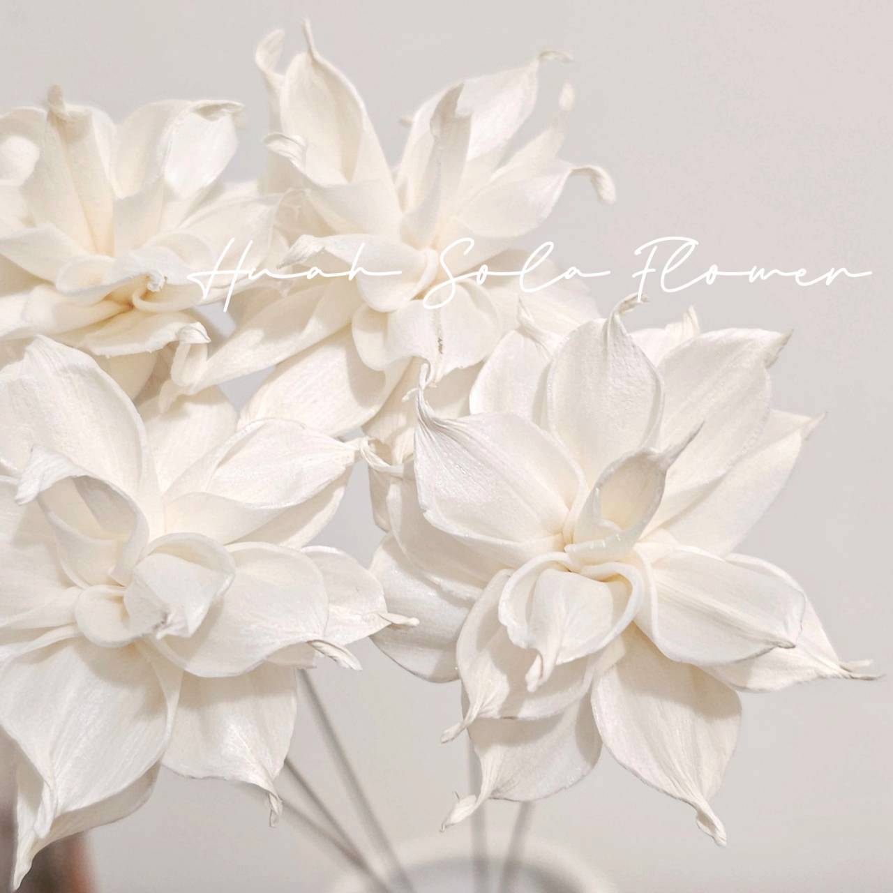 LINE_ALBUM_官網5_251018_116