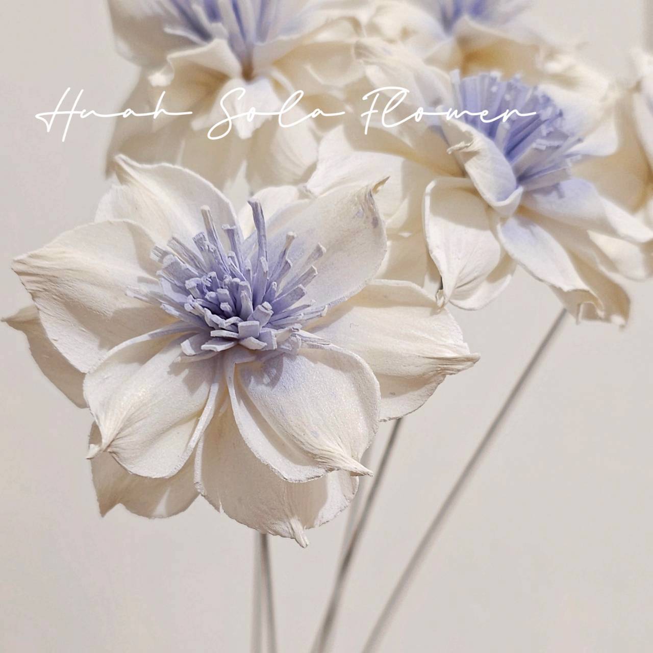 LINE_ALBUM_官網5_251018_121