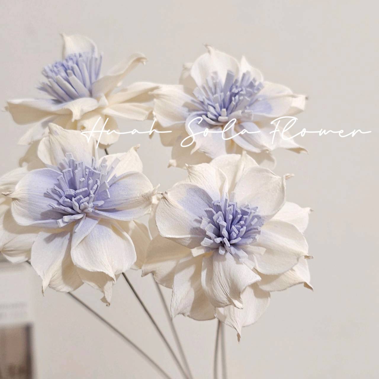 LINE_ALBUM_官網5_251018_122