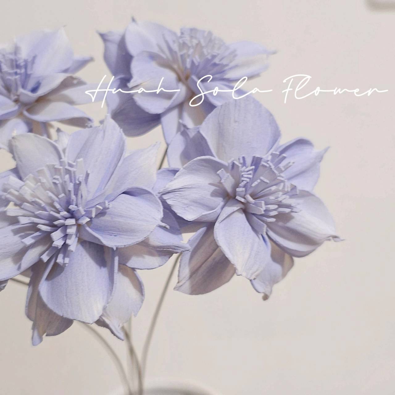 LINE_ALBUM_官網5_251018_114