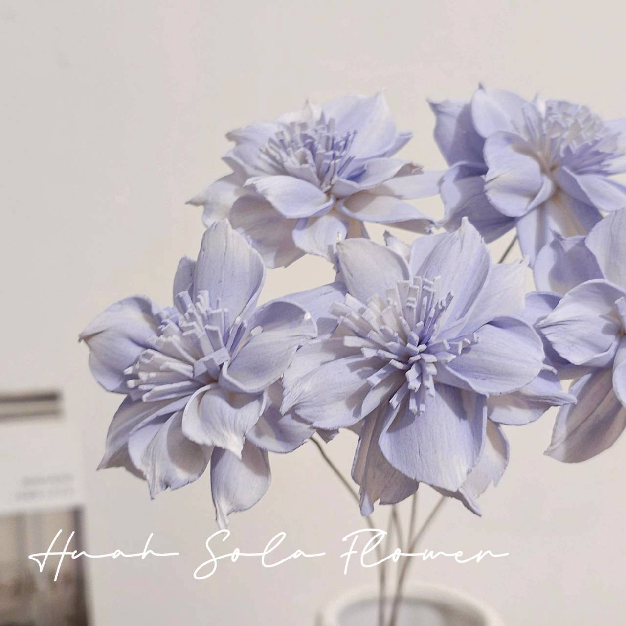 LINE_ALBUM_官網5_251018_111