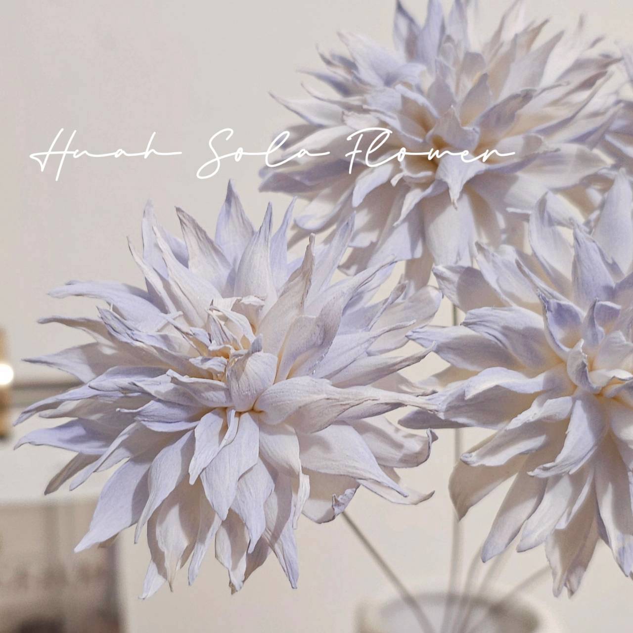 LINE_ALBUM_官網5_251018_119