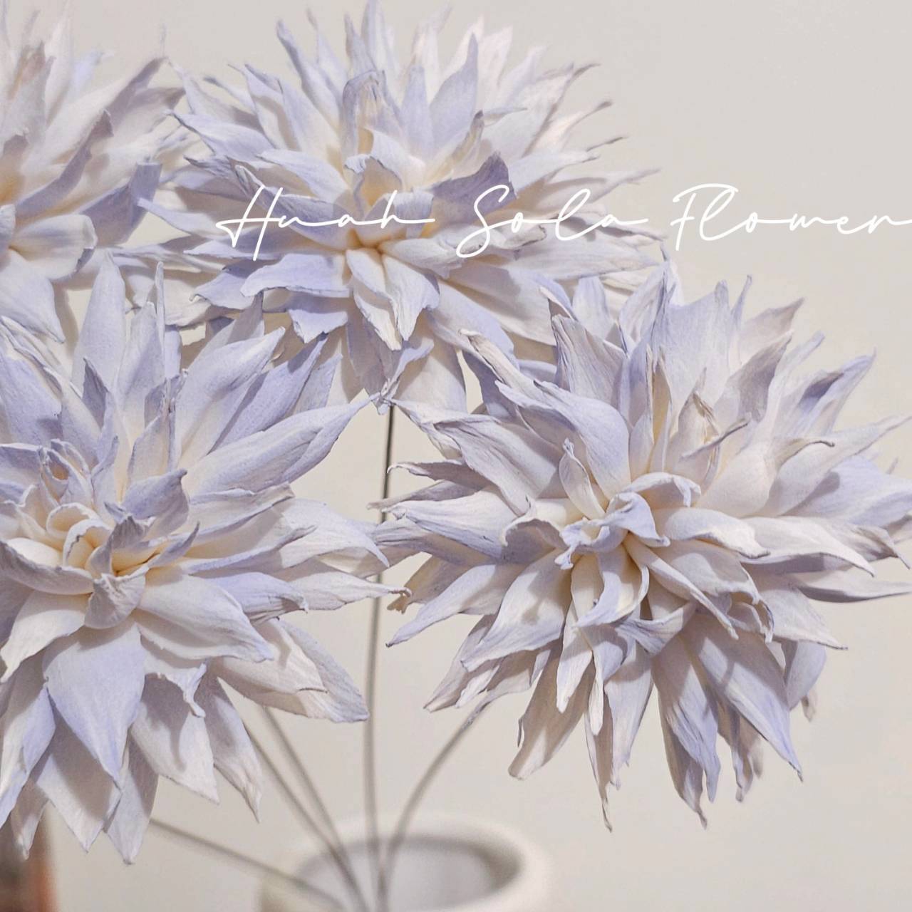 LINE_ALBUM_官網5_251018_120