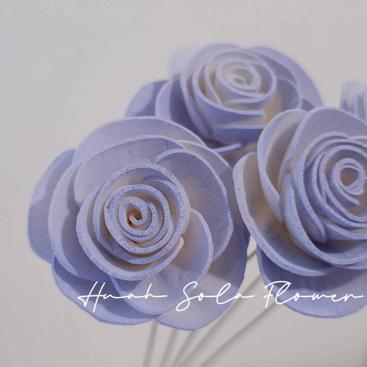 LINE_ALBUM_官網5_251018_46