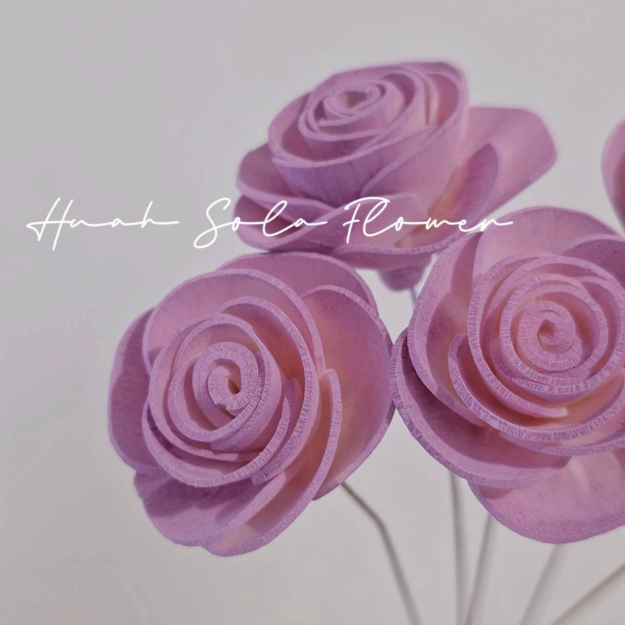 LINE_ALBUM_官網5_251018_50