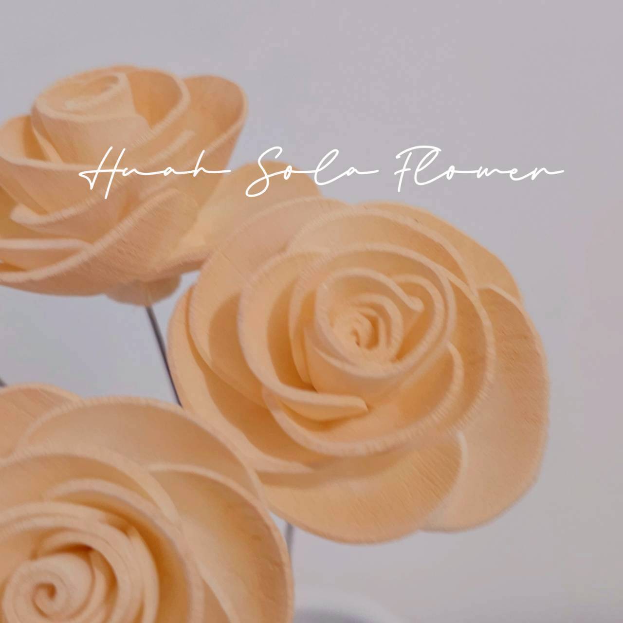 LINE_ALBUM_官網5_251018_53