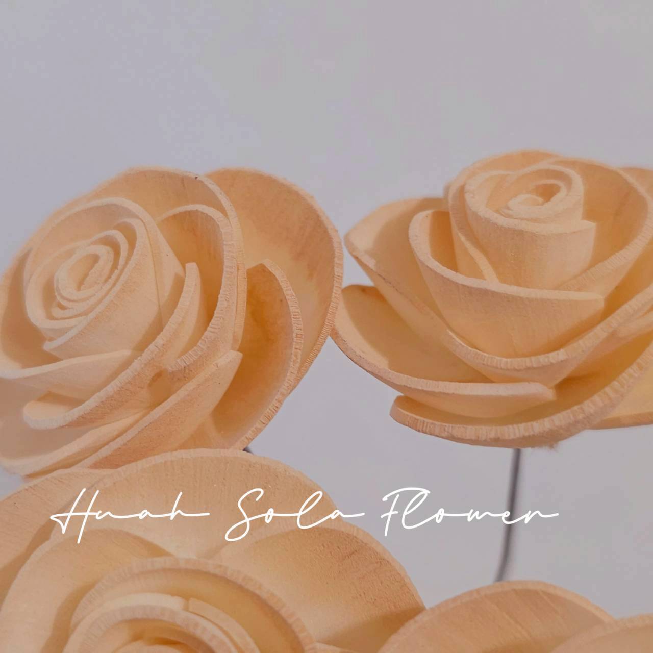 LINE_ALBUM_官網5_251018_56