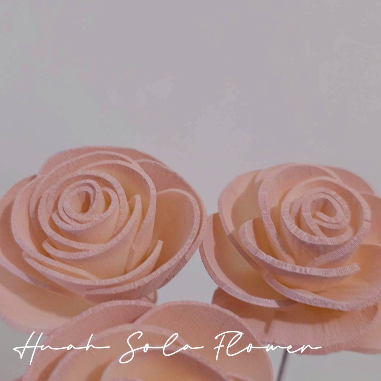 LINE_ALBUM_官網5_251018_57