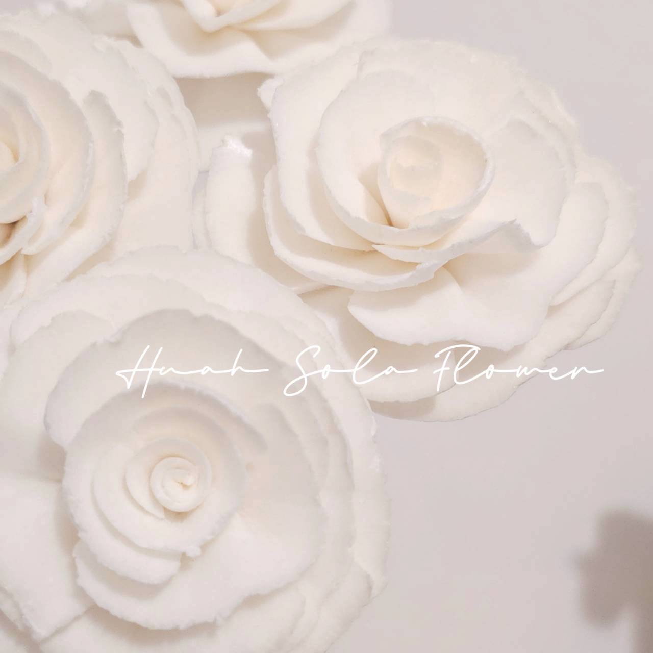 LINE_ALBUM_官網5_251018_134