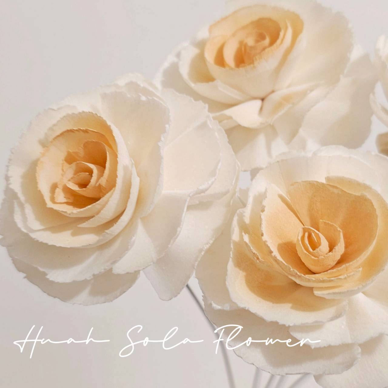 LINE_ALBUM_官網5_251018_101