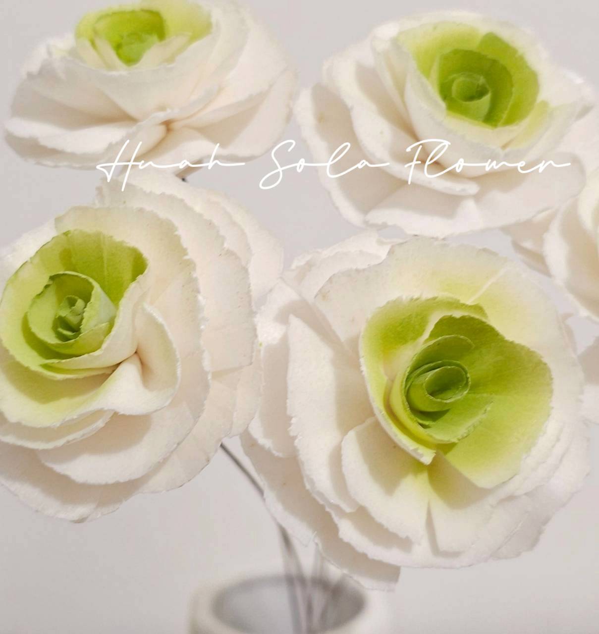 LINE_ALBUM_官網5_251018_104