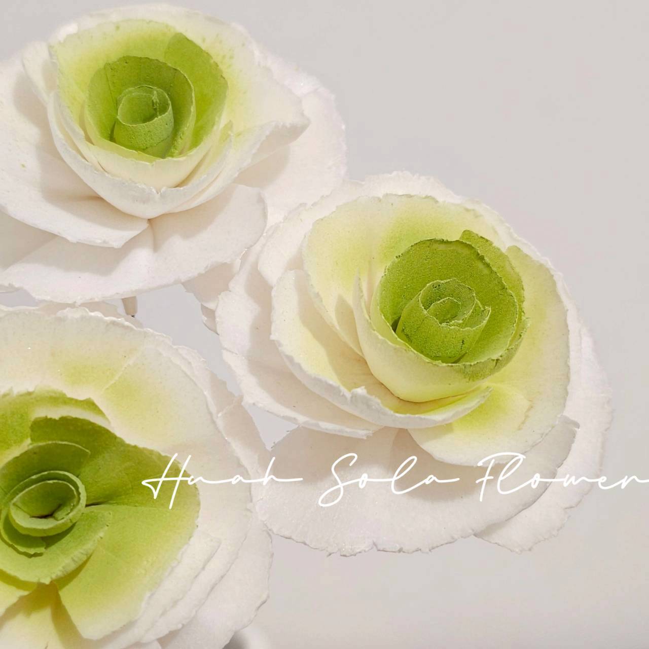 LINE_ALBUM_官網5_251018_103