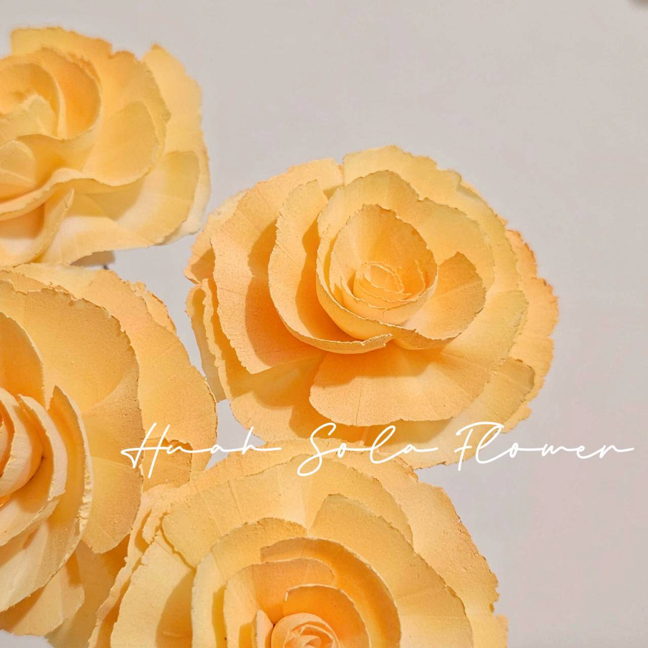 LINE_ALBUM_官網5_251018_109